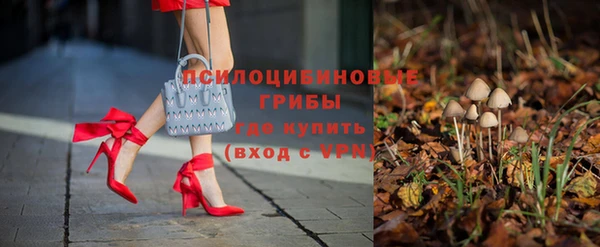 PSILOCYBIN Абинск