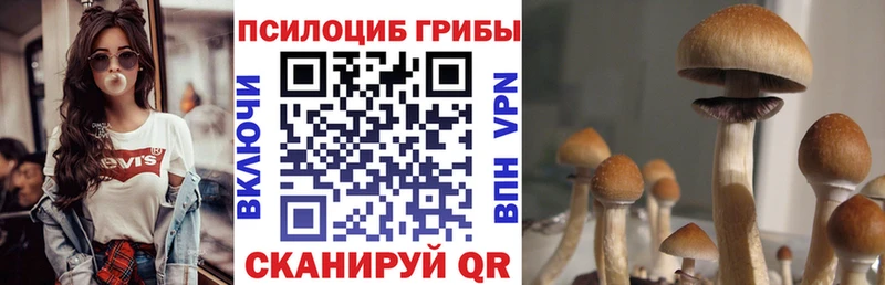 хочу наркоту  МЕГА tor  Псилоцибиновые грибы мухоморы  Ярославль 