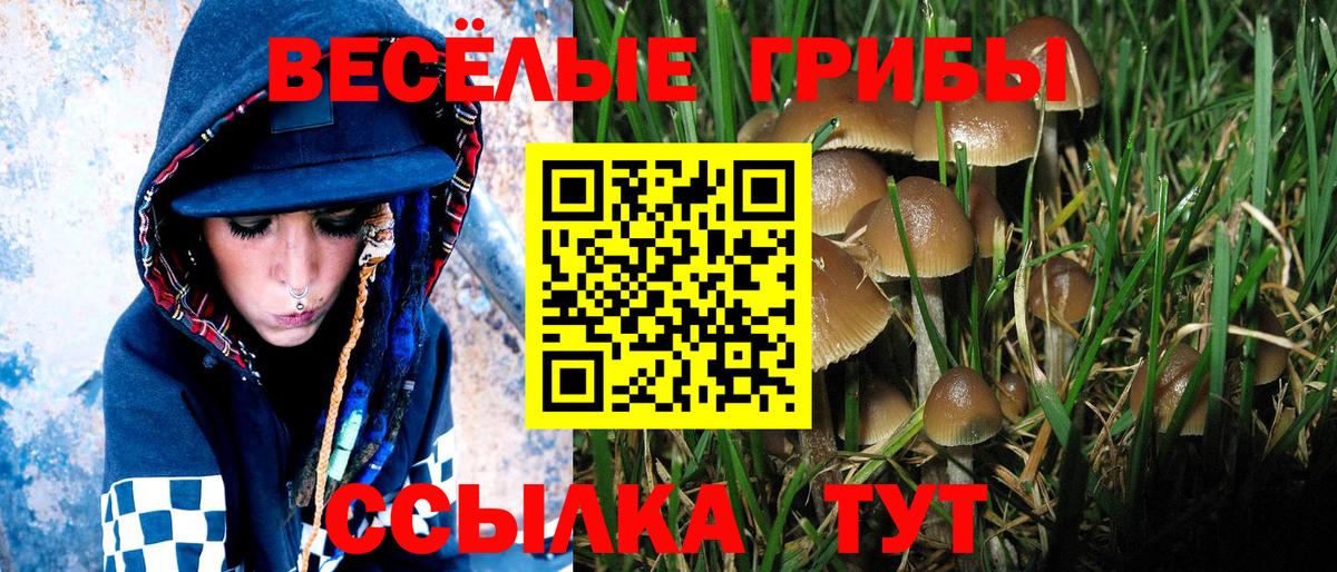 Галлюциногенные грибы прущие грибы  наркошоп  Ярославль  Вход с VPN 