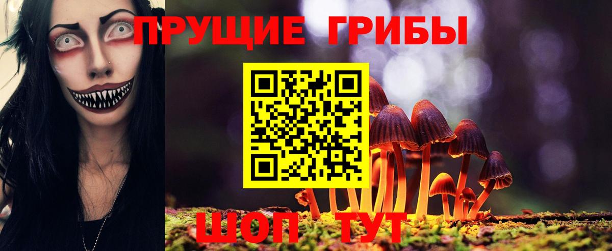 Галлюциногенные грибы мицелий Ярославль